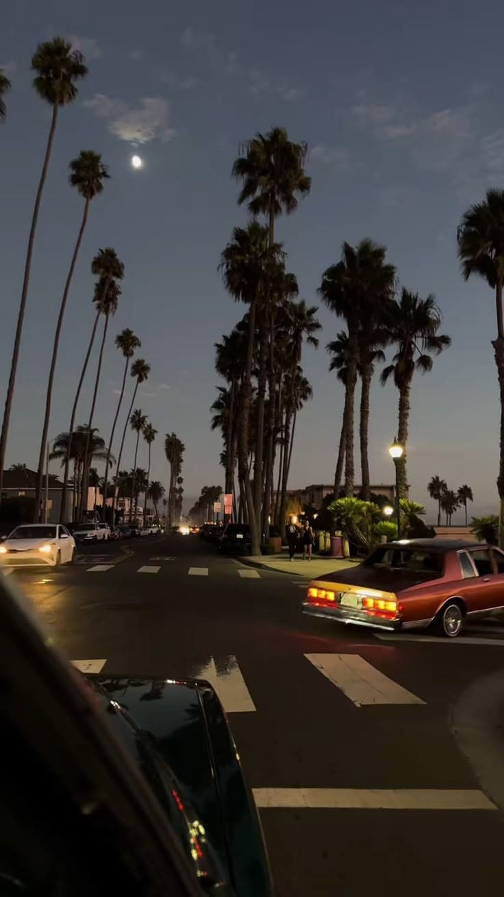 cars are driving down the street in front of palm trees at night with full moon