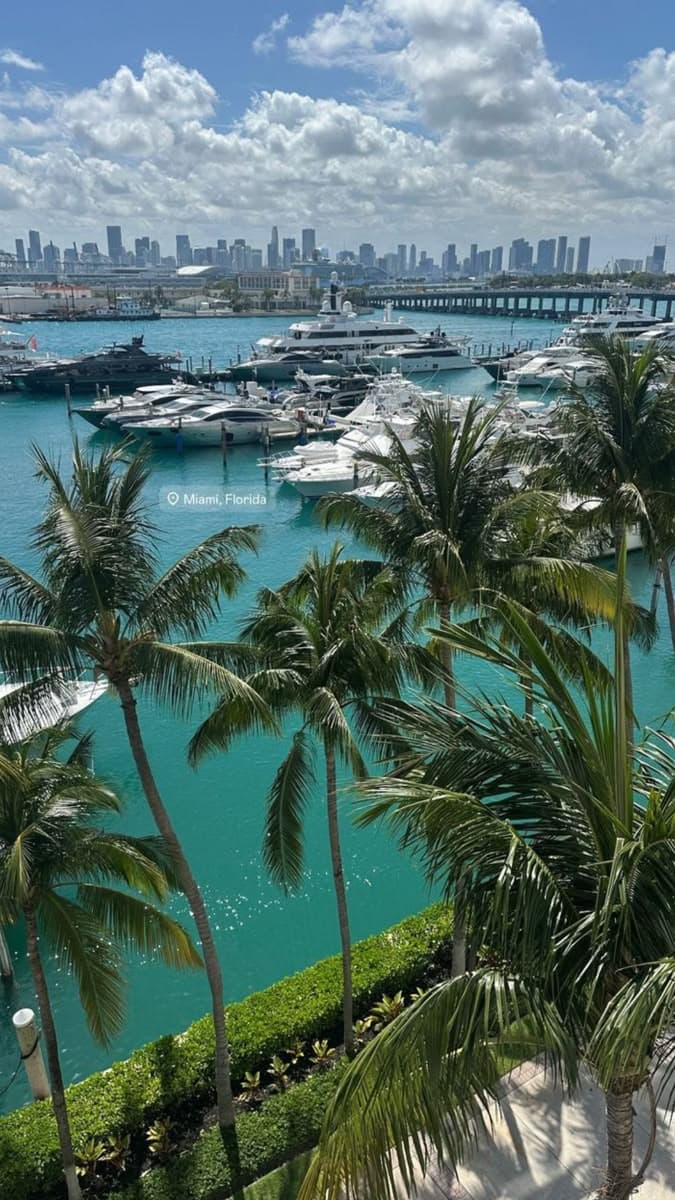 palm trees and boats are in the water