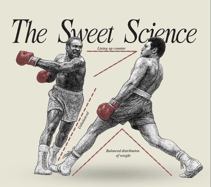 the sweet science boxing