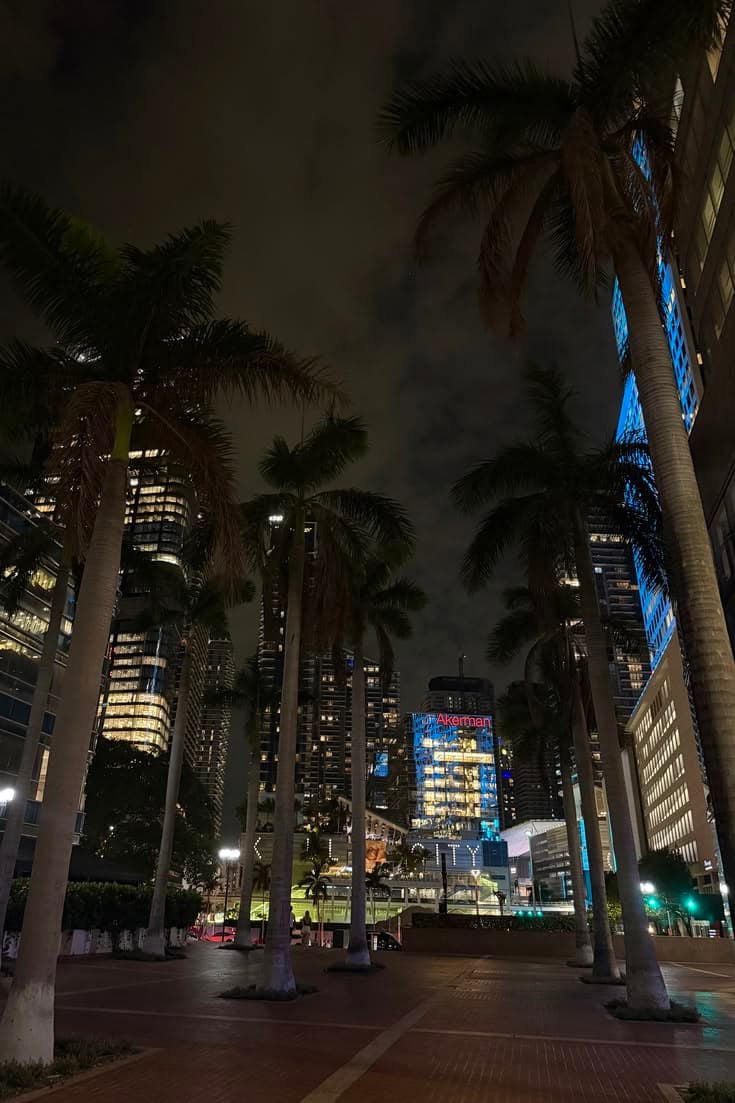 palm trees line the street in front of tall buildings and skyscrapers lit up at night