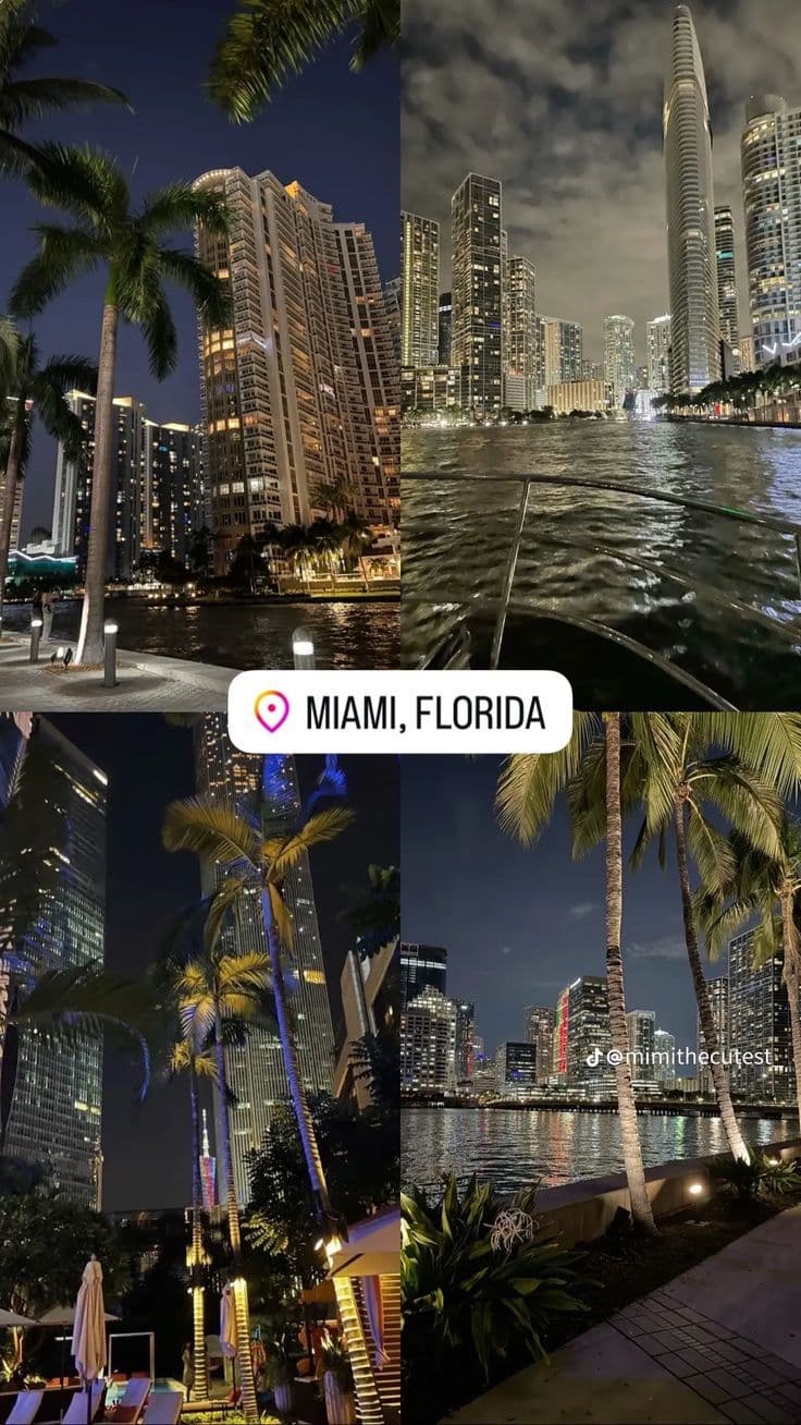 the miami skyline is lit up at night, and there are palm trees in front of it