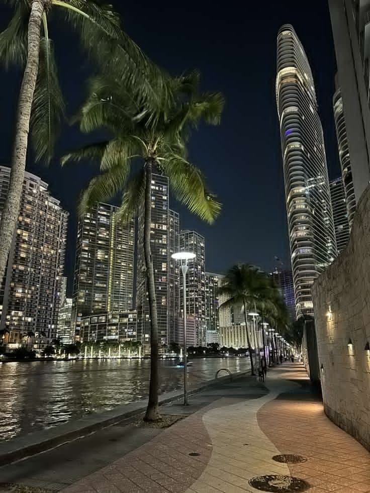palm trees line the waterfront in front of tall skyscrapers at night with lights on