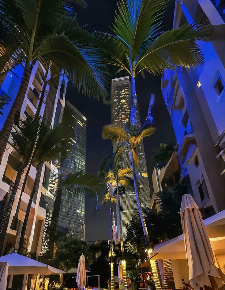 the palm trees are lit up at night in front of tall buildings and skyscrapers