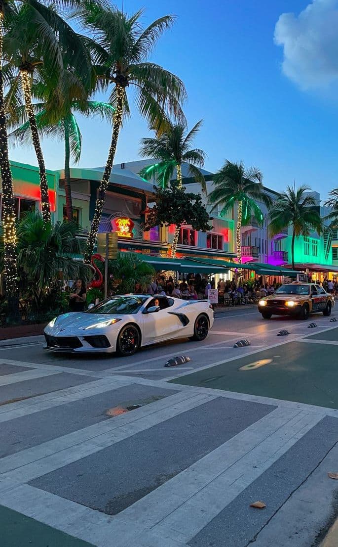 the cars are driving down the street in front of some buildings and palm trees at dusk