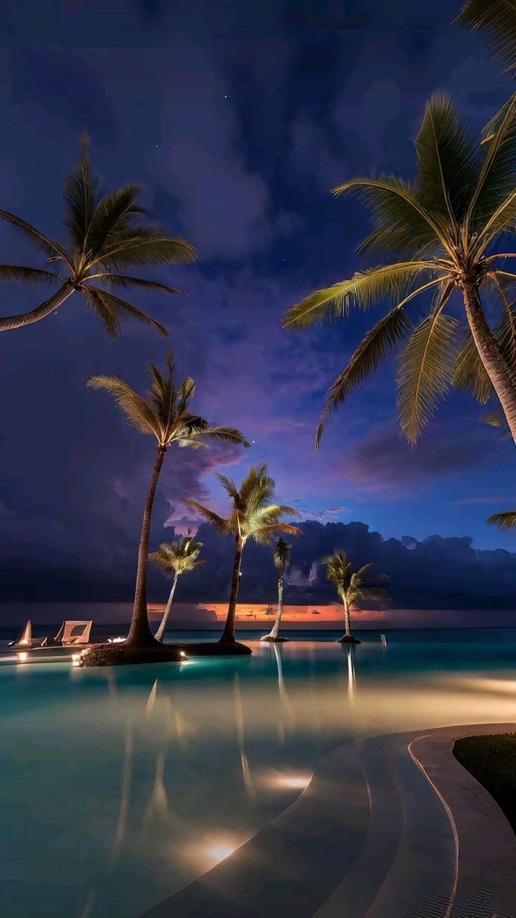 palm trees line the beach at night
