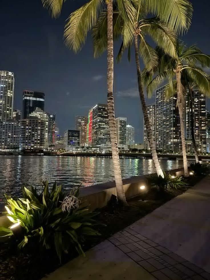 the city lights shine brightly over the water and palm trees
