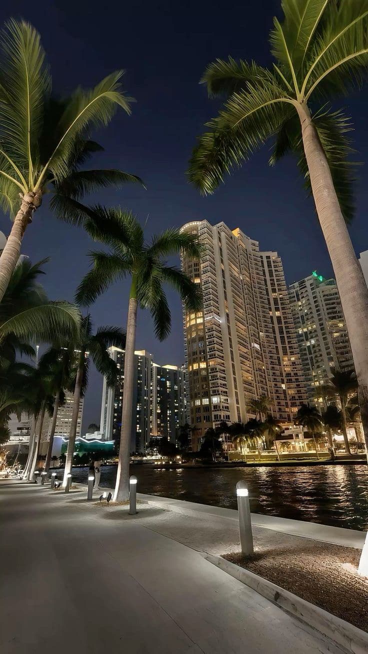 palm trees are lined up along the waterfront in front of high rise buildings at night