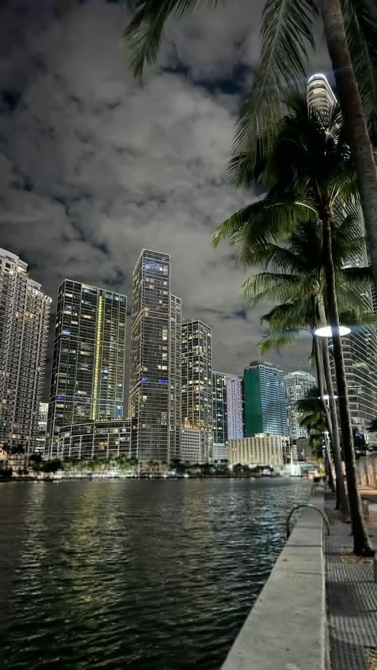 the city skyline is lit up at night with palm trees on the side and water in front
