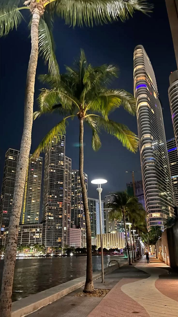 palm trees and skyscrapers at night near the water in front of a cityscape