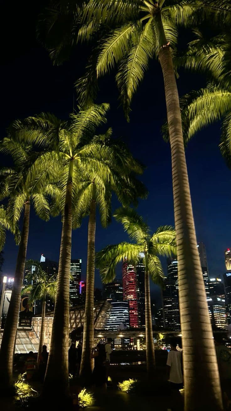 palm trees are lit up at night in front of the city skyline and skyscrapers