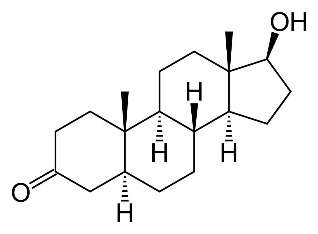 Skeletal chemical structure of dihydrotestosterone (androstanolone), the androgen produced by the DHT pathway